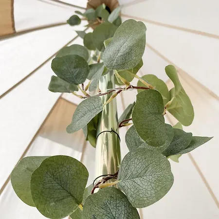 Glamping Kalhagen Luxuszelt *