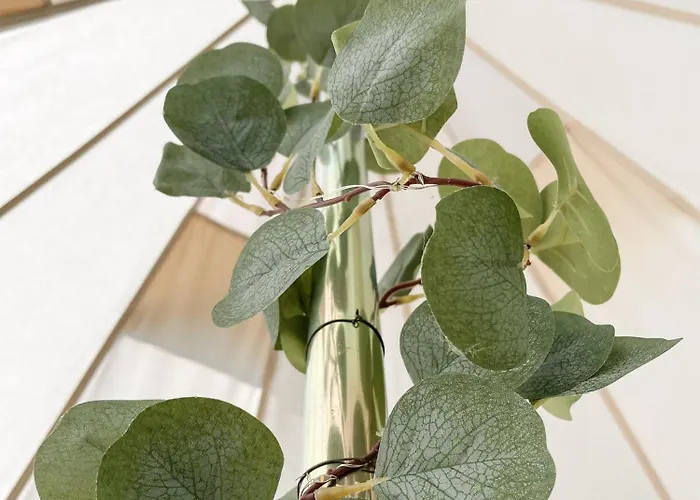 Glamping Kalhagen Lyxtält *